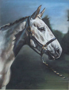 Rhosyn, Pastel Commission. See'Gallery' below.