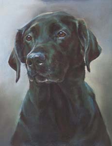 'Tilly', Pastel Commission. See 'Gallery' below.
