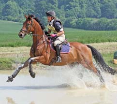 Archie at Great Tew